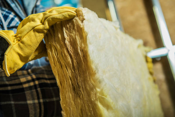 Best Fiberglass Insulation  in Byron, MN